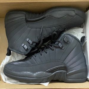 Air Jordan 12 retro wntr